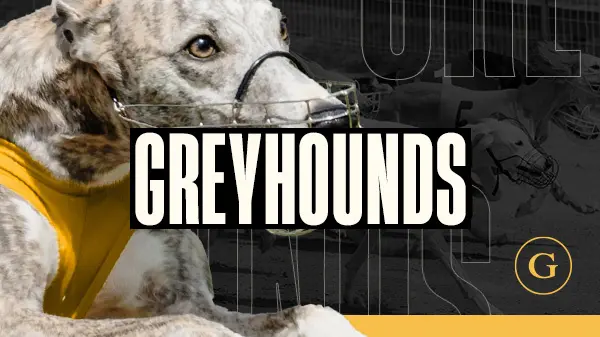 Dog 6 H.Odds - Spin City - Congo